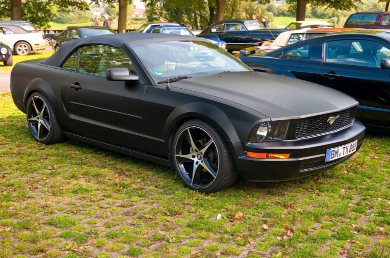 DSC_3346